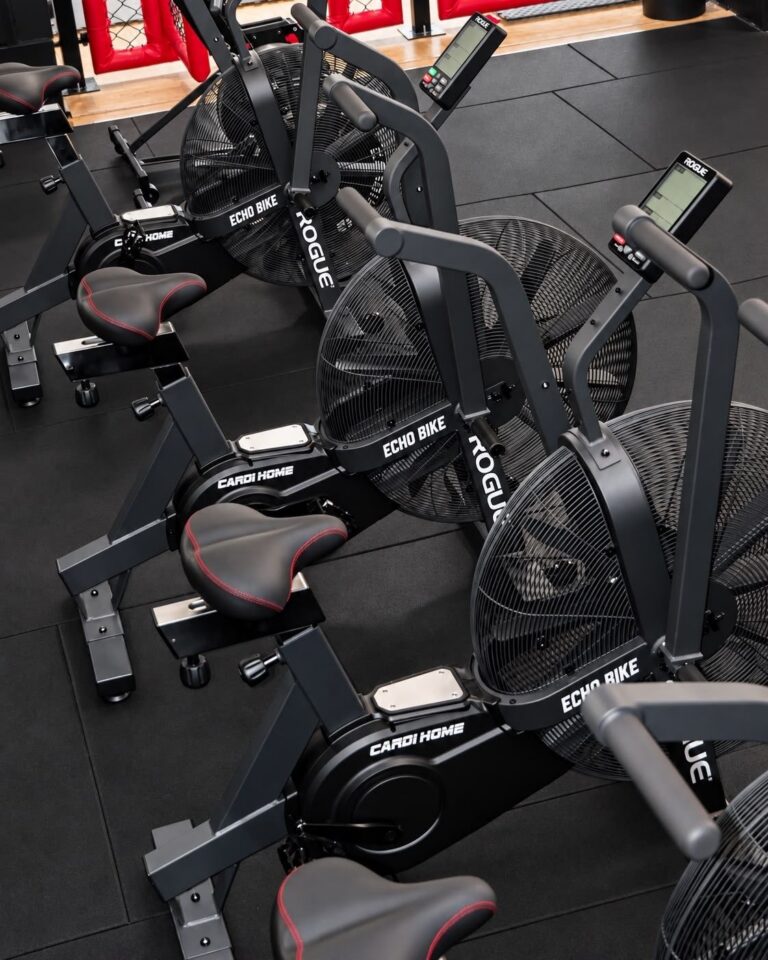 Rangée de vélos Rogue Echo Bike pour le travail cardio