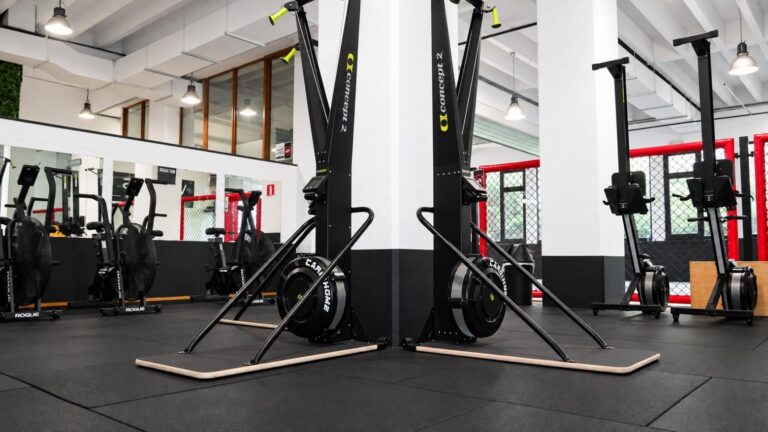 Deux SkiErg Concept2 côte à côte